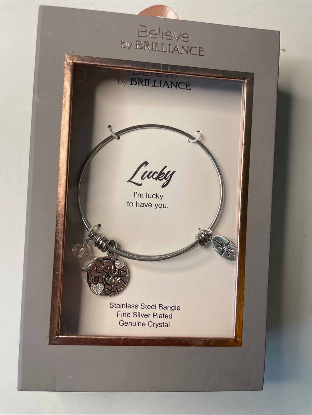 Believe by Brilliance 'Lucky' Silver-Plated Charm Bangle Bracelet Elephant